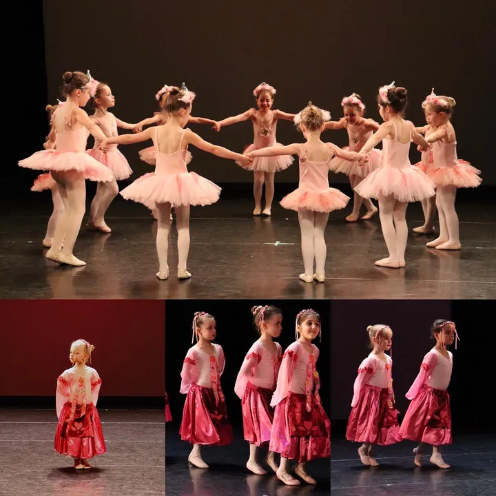 Ecole de Danse Anne Papet-Lépine — danse-studio à Dijon — 5