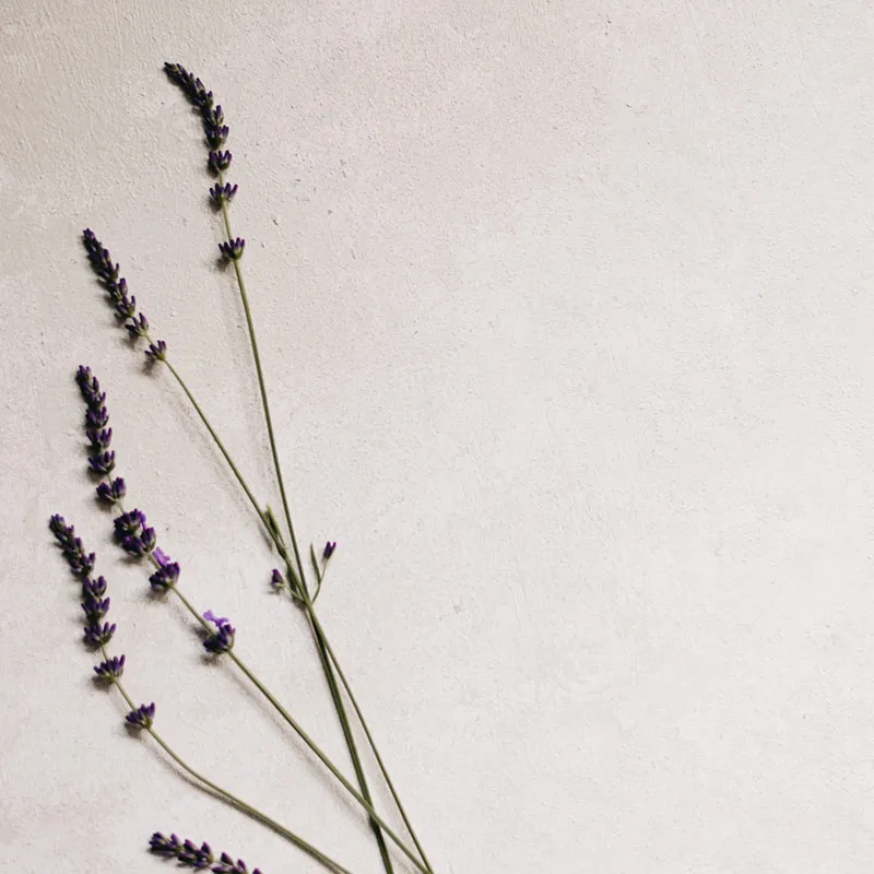 Yogasoul Clarholz — yoga-studio i Herzebrock-Clarholz — 6