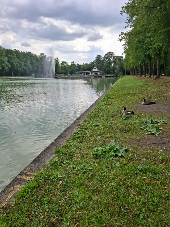 Calisthenics Park Ahlen — calisthenics-studio in Dorffeld, Ahlen — 2