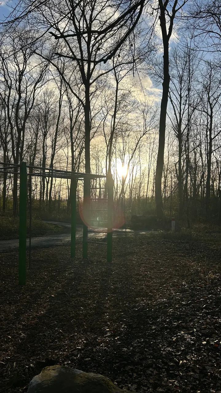 Calisthenics Park Ahlen — calisthenics-studio in Ahlen — 4