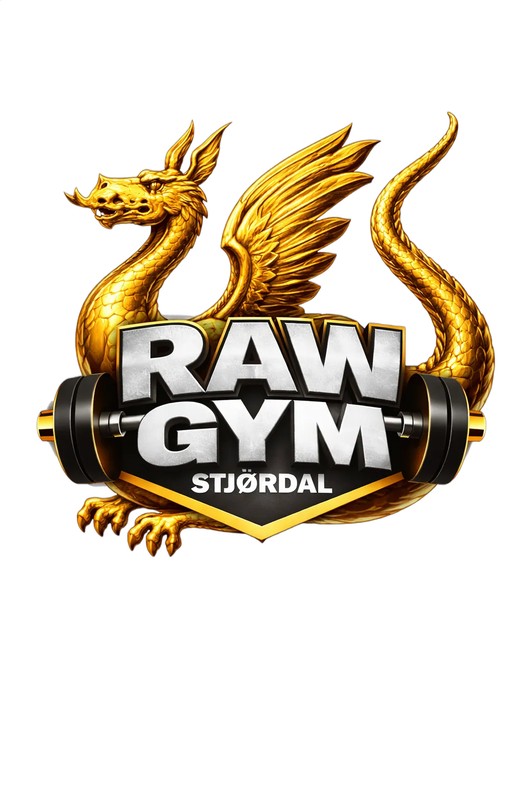 Raw Gym Stjørdal — treningsstudio-studio i Stjørdal — bild 2
