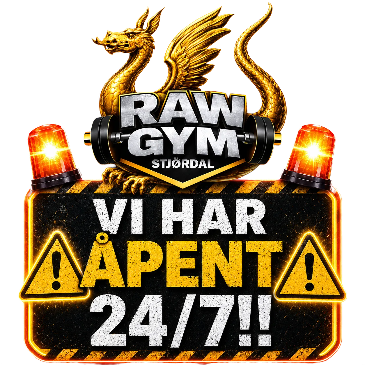 Raw Gym Stjørdal — treningsstudio-studio i Stjørdal — bild 3