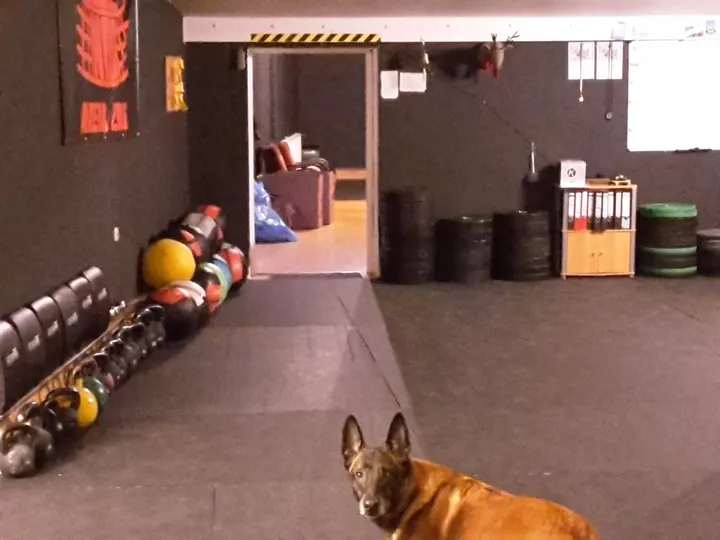 CrossFit Central Wiesbaden — functional training-studio in Wiesbaden — 4