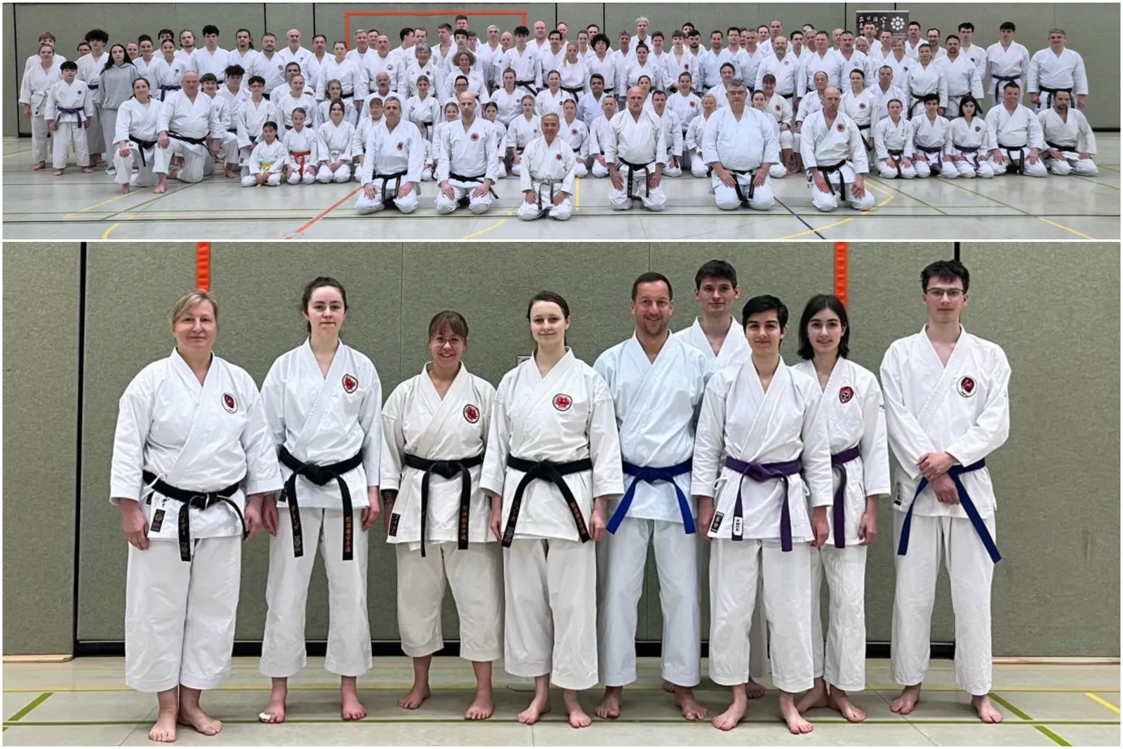 Karate-Dojo Torii Dresden e.V. — kampfsport-studio in Dresden — 4