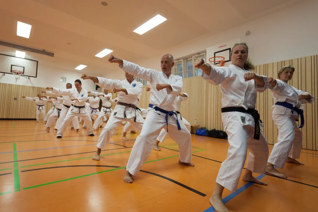 Shi-Ko-Kai e.V. — kampfsport-studio in Haidhausen, München — 3