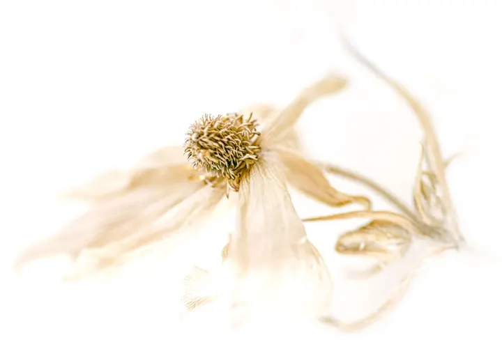 Milarepa — meditatie-studio in Zwolle — 3