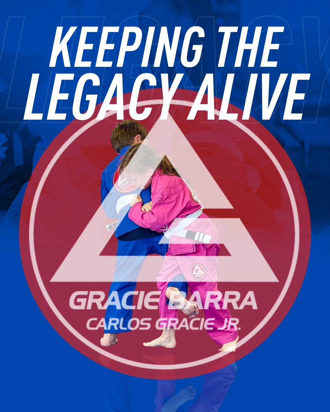 Gracie Barra Frome Brazilian Jiu-Jitsu — yoga-studio in Frome — 2