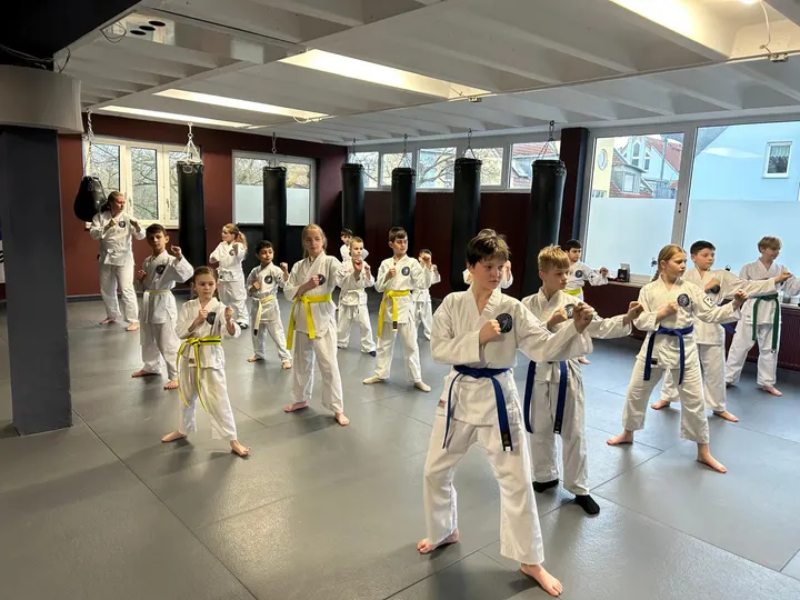 Taekwon-Do Black Belt Center Fürth — kampfsport-studio in Altstadt, Innenstadt, Fürth — 2