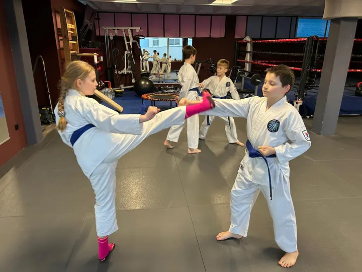 Taekwon-Do Black Belt Center Fürth — kampfsport-studio in Fürth — 3
