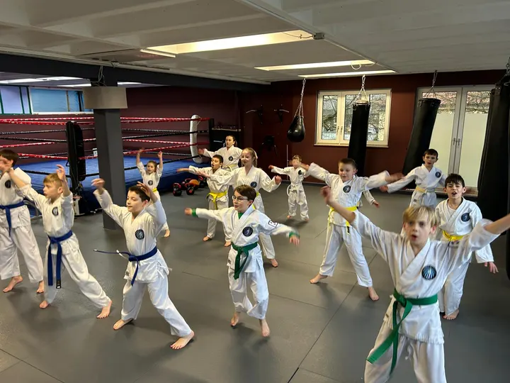 Taekwon-Do Black Belt Center Fürth — kampfsport-studio in Fürth — 4