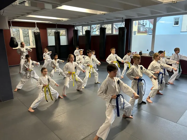 Taekwon-Do Black Belt Center Fürth — kampfsport-studio in Fürth — 5