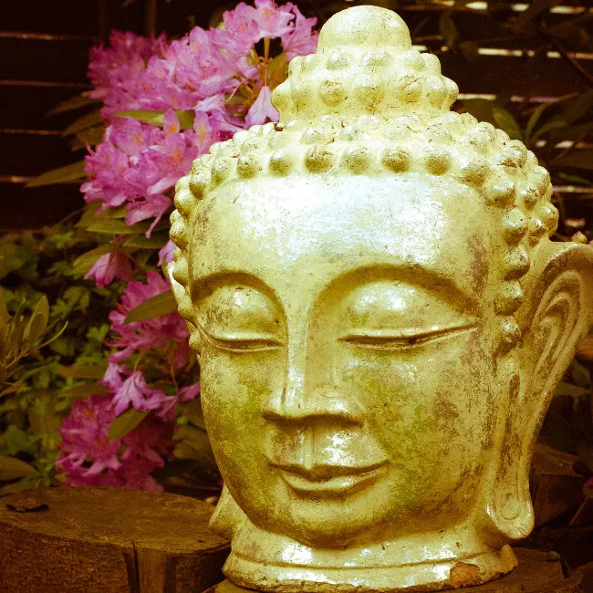 VivalaYoga — Yoga in Sterkrade, Oberhausen