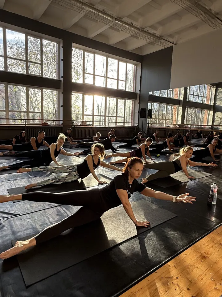 STEFANICS. DAS SPORTSTUDIO — Fitnessstudio in Freudenegg, Senden