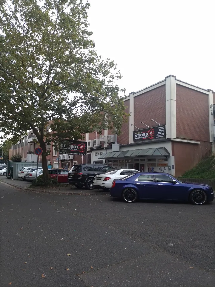 Streib MMA Wrestling Gym — kampfsport-studio in Alt-Klarenthal, Wiesbaden — 3