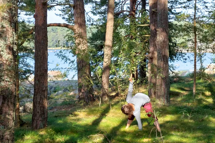 Shakta Joogakoulu Porvoo — jooga-studio – Tarmola, Porvoo — 2