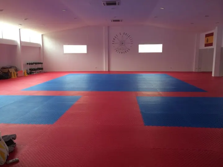 Club Élite Taekwondo Ramos & Brigitte Club — artes marciales-studio en Palma — 3