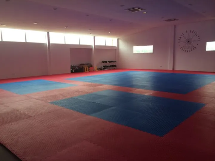 Club Élite Taekwondo Ramos & Brigitte Club — artes marciales-studio en Palma — 4