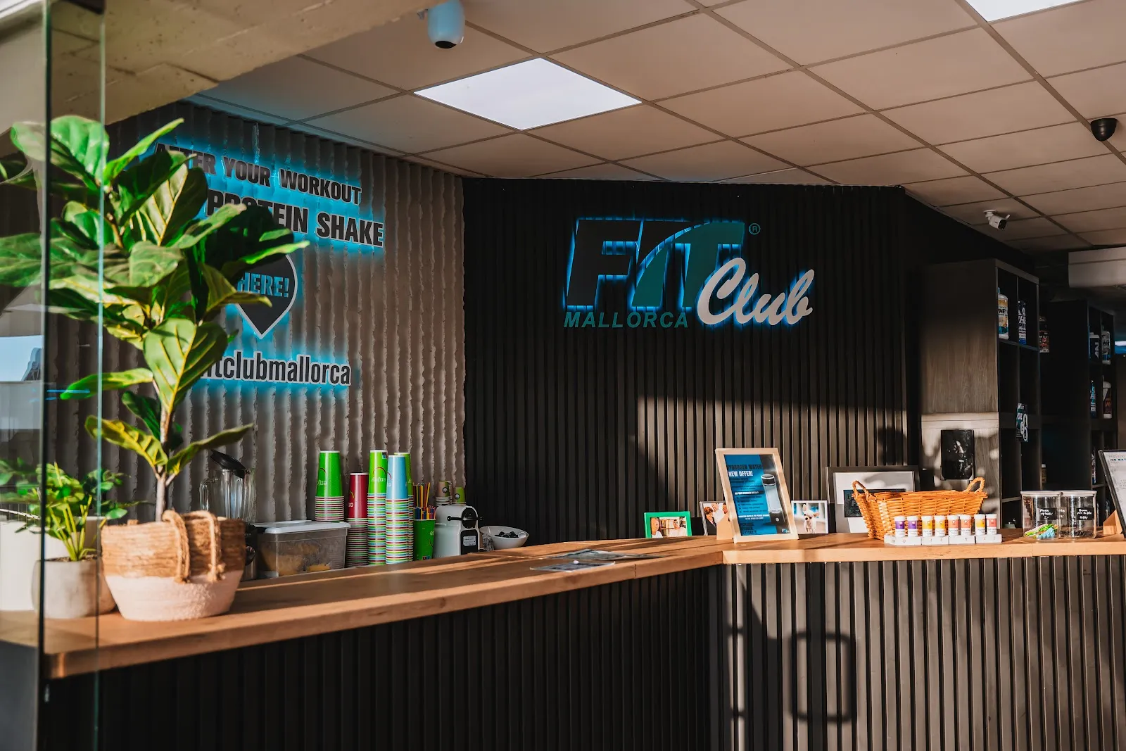 Fit Club Mallorca — estudio de fitness-studio en Palmanova — 2