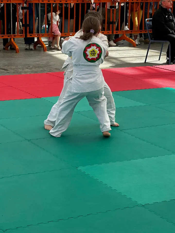 A.S.D. Shitama Jujitsu — arti marziali-studio a Genova — 3