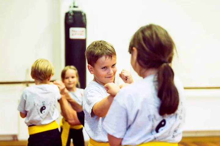 WuDao Stralsund — Kampfsport in Altstadt, Stralsund