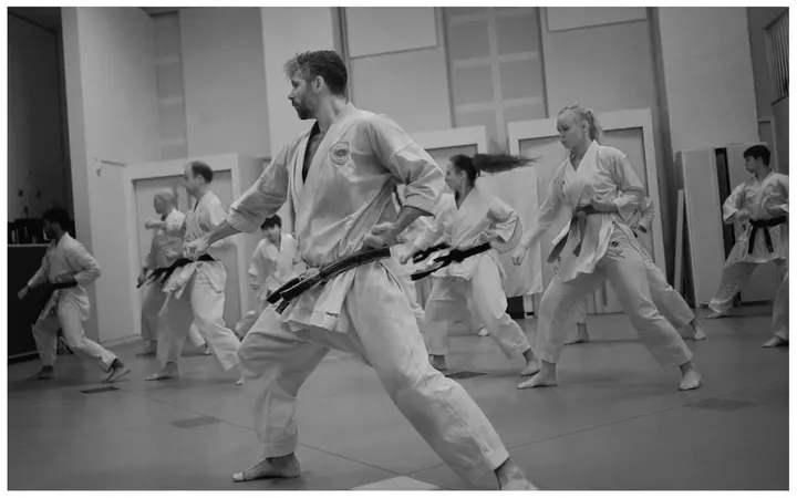 Copenhagen Budo Academy Nørrebro — kampsport-studio i København — 4