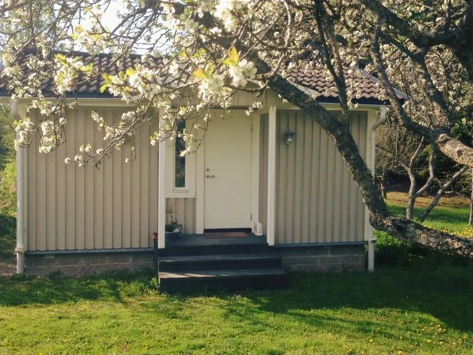 Maria Ejdetjärn MoreMe — wellness-studio i Eskilstuna — 2