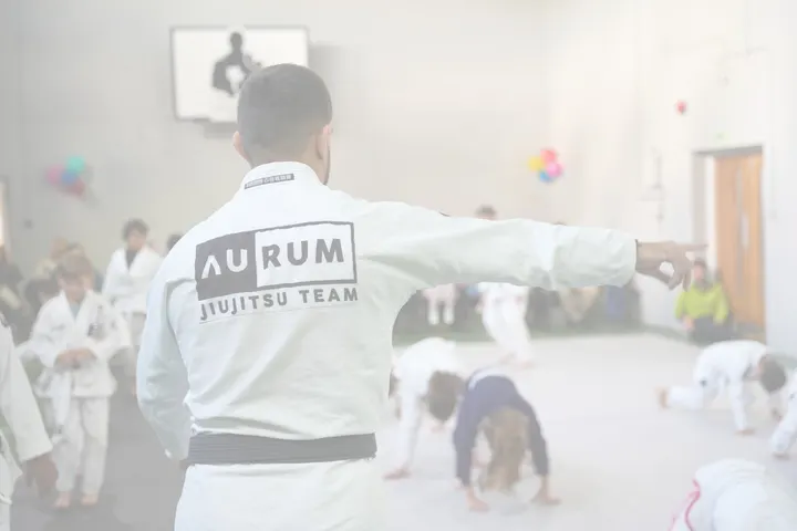 Aurum Bjj Valencia — artes marciales-studio en Paiporta, Valencia — 3