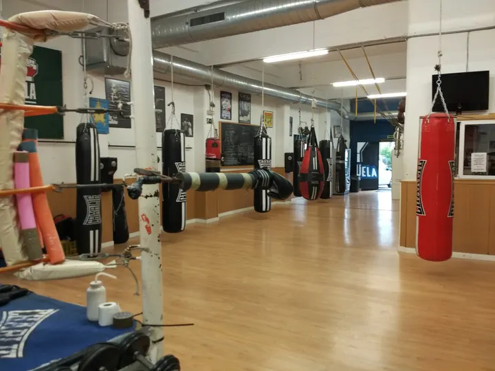 La Escuela Boxeo Alto Extremadura — artes marciales-studio en Latina, Madrid — 3