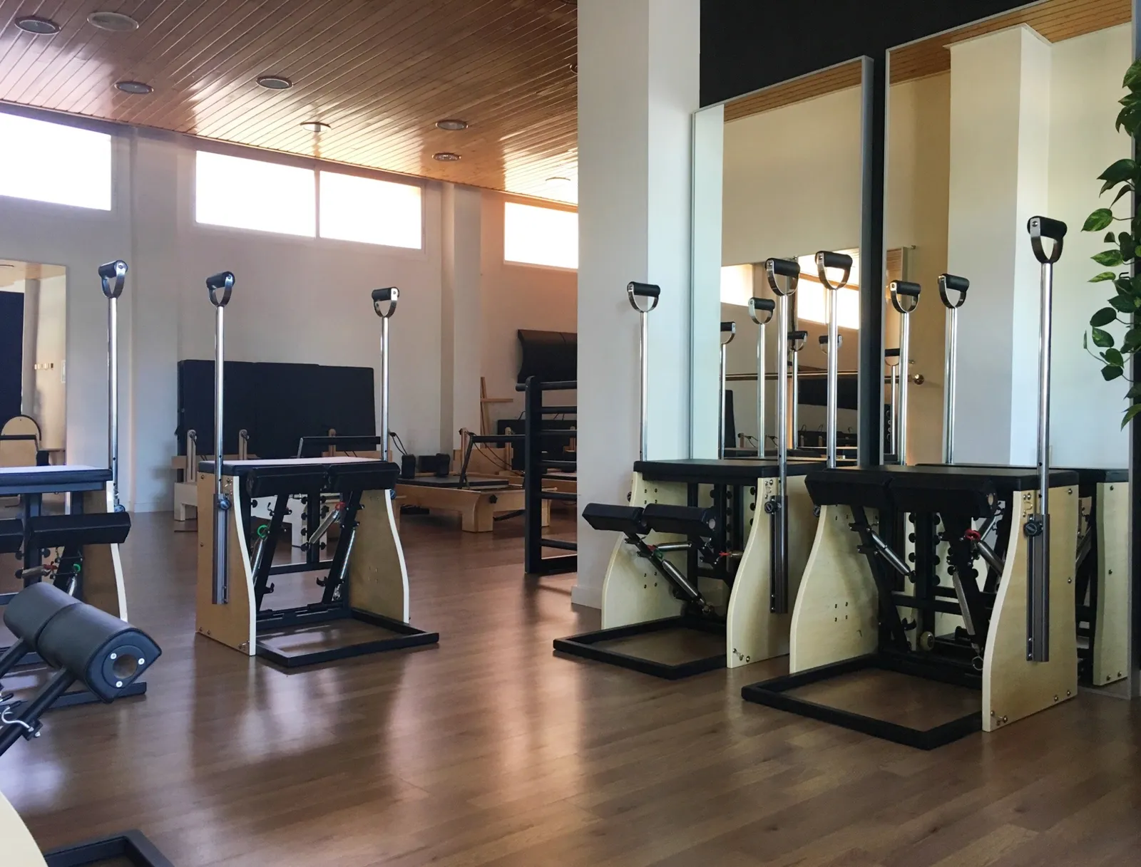 epcm | estudio de pilates carlos marín — pilates-studio i Parque Alameda - Paula López, Valladolid — bild 3