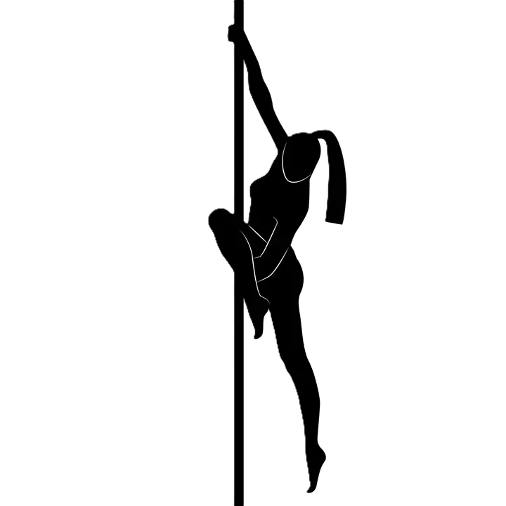 Pole Dance Fitness Jungle — estudio de fitness-studio en Nervión, Sevilla — 2