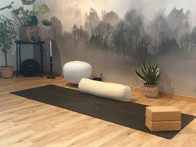Yogastudio Yang och Yin i Svedala — yoga-studio i Malmö — 6