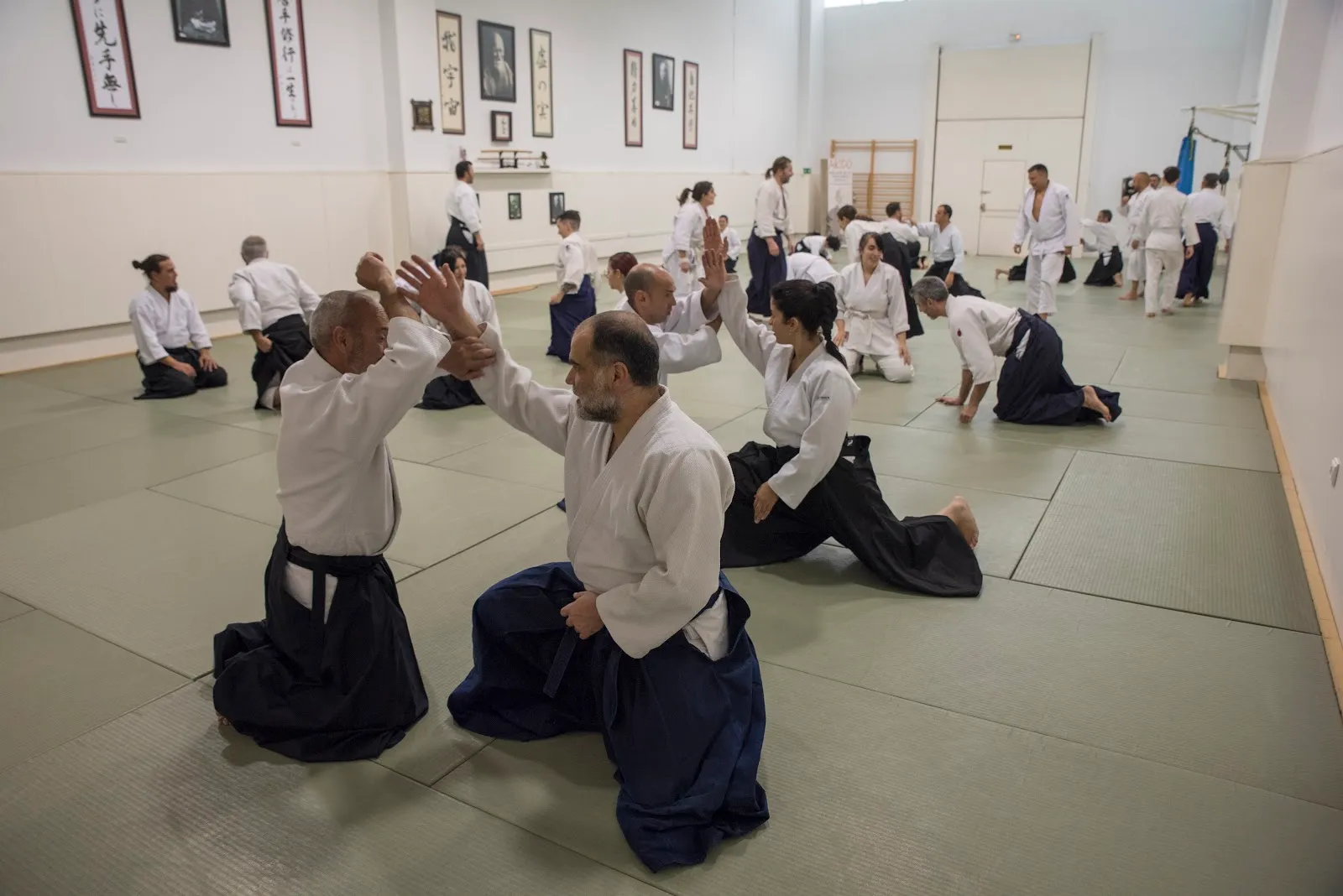 Shinsei, Dojo De Aikido — artes marciales-studio en Ronda — 2