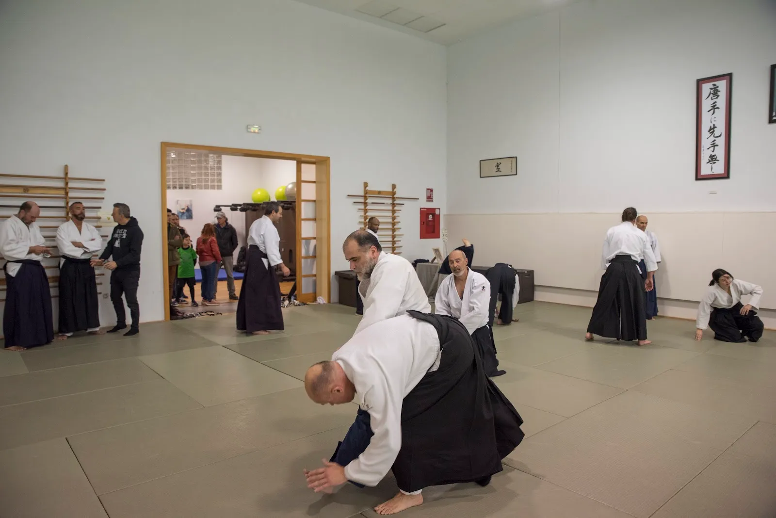 Shinsei, Dojo De Aikido — artes marciales-studio en Ronda — 3