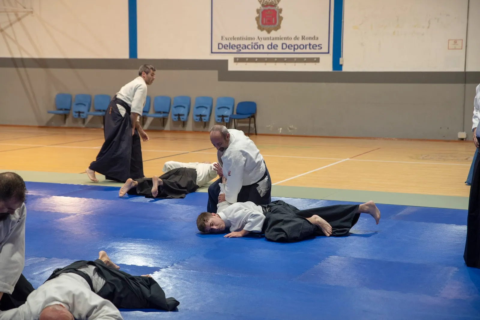 Shinsei, Dojo De Aikido — artes marciales-studio en Ronda — 3