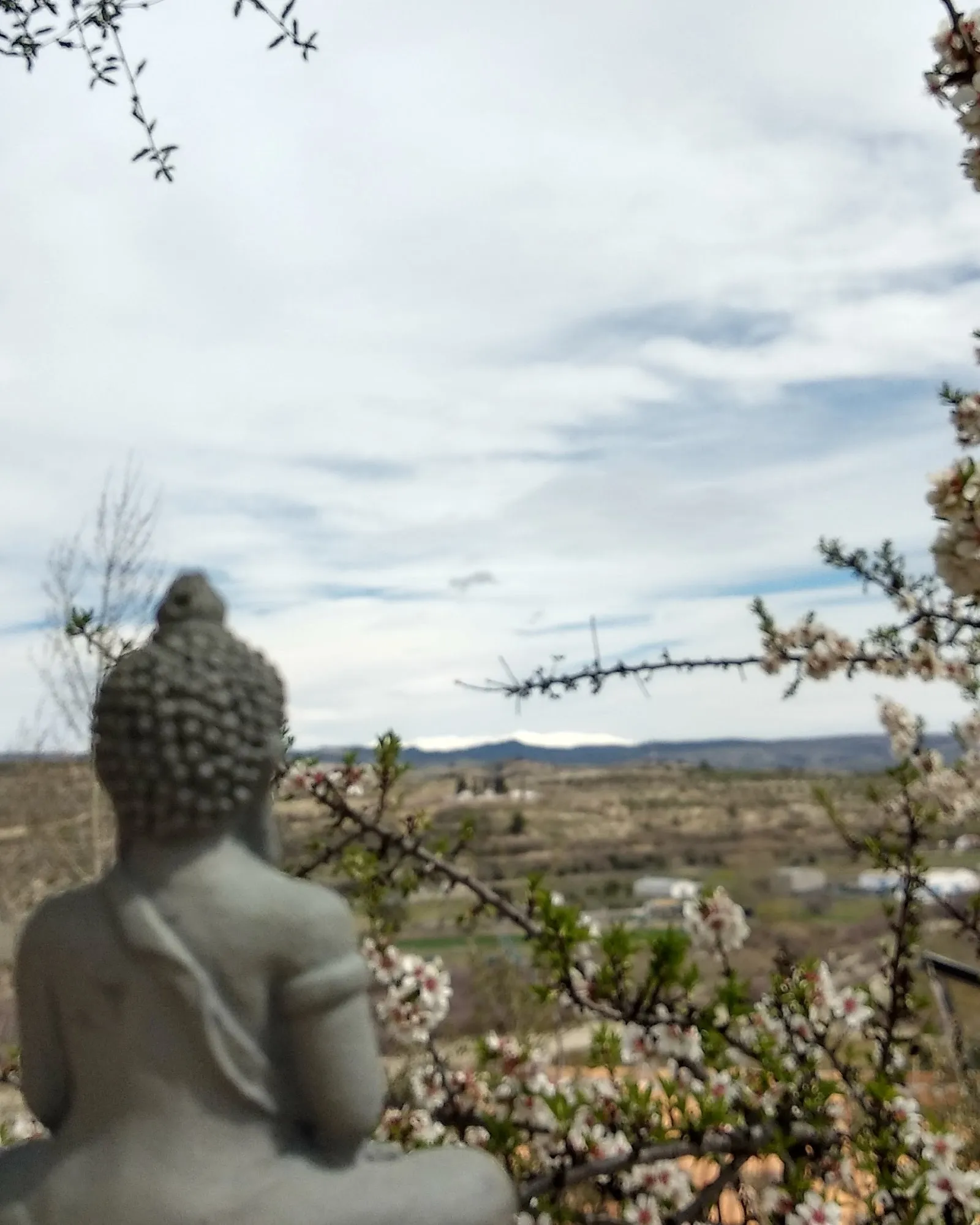 Dojo Zen de Málaga — meditación-studio en Perchel Sur, Málaga — 2