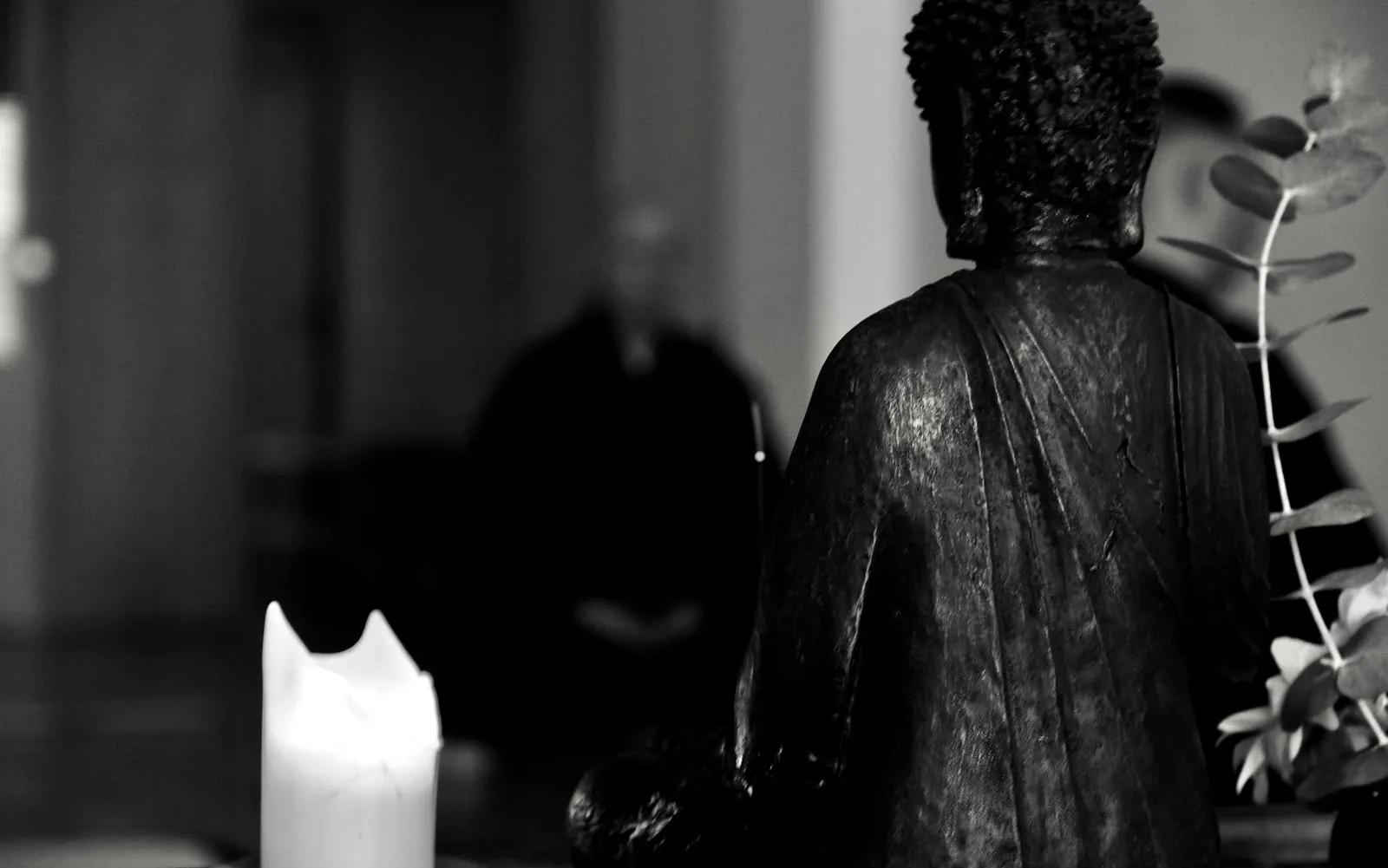 Dojo Zen de Málaga — meditación-studio en Málaga — 5