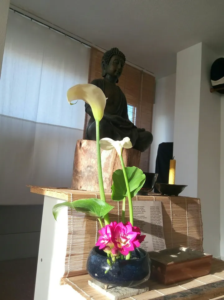 Dojo Zen de Málaga — Meditación en Perchel Sur, Málaga