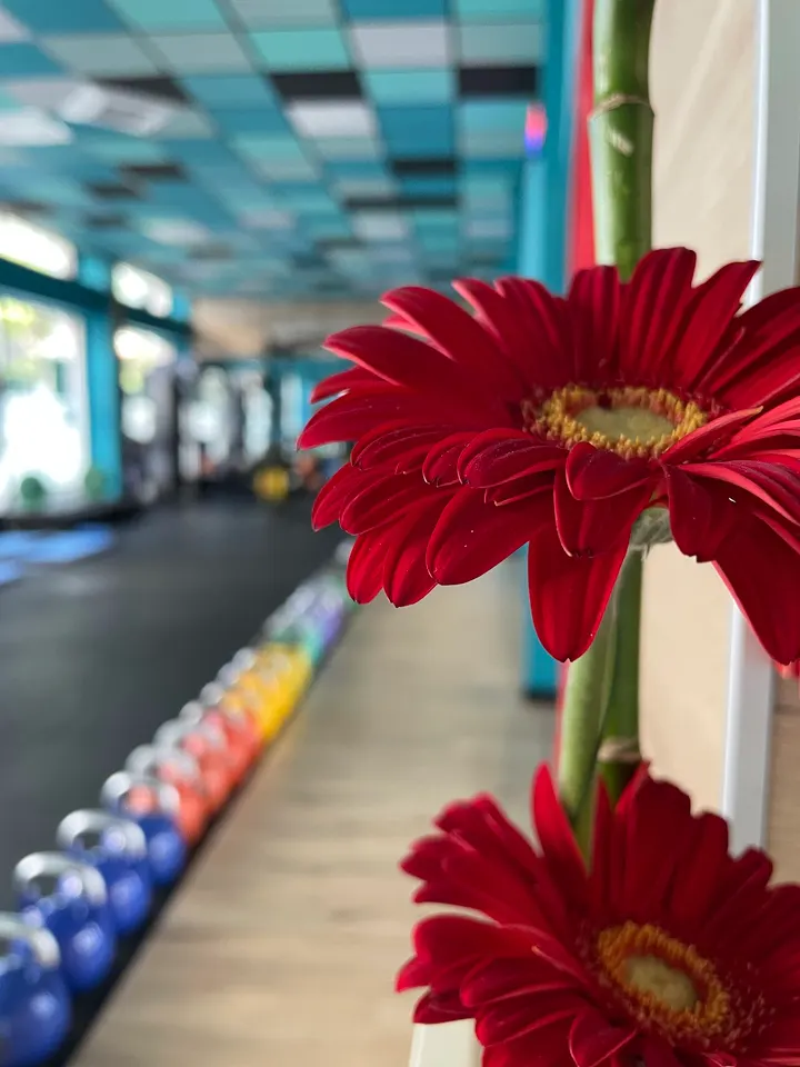 DayOn Fit Studio — personal training-studio a Rimini — 5
