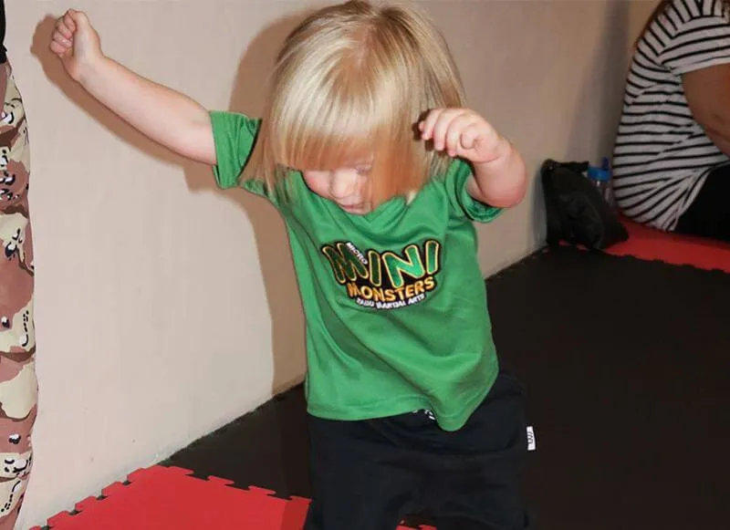 Kaiju Martial Arts — martial arts-studio in Wakefield — 2