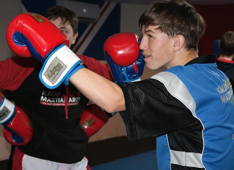 Kaiju Martial Arts — martial arts-studio in Wakefield — 3