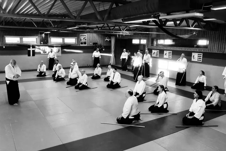 Göteborgs Aikidoklubb — kampsport-studio i Annedal, Göteborg — 3