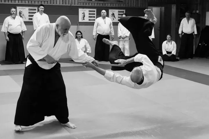 Göteborgs Aikidoklubb — kampsport-studio i Göteborg — 3