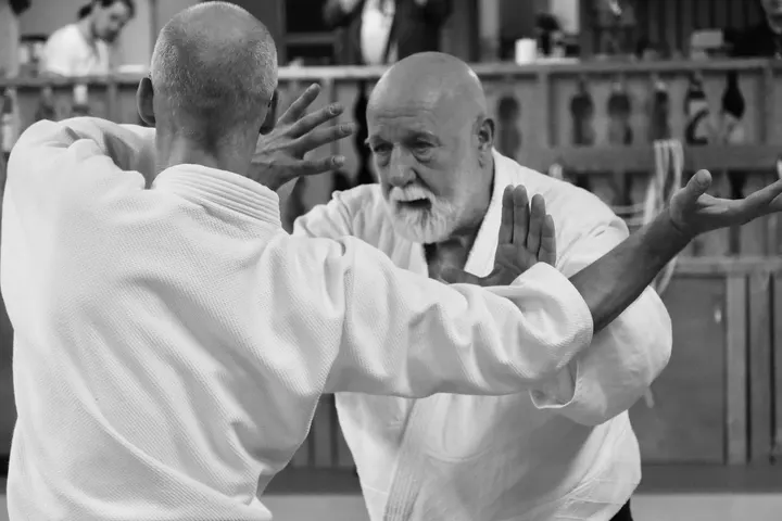 Göteborgs Aikidoklubb — kampsport-studio i Göteborg — 4