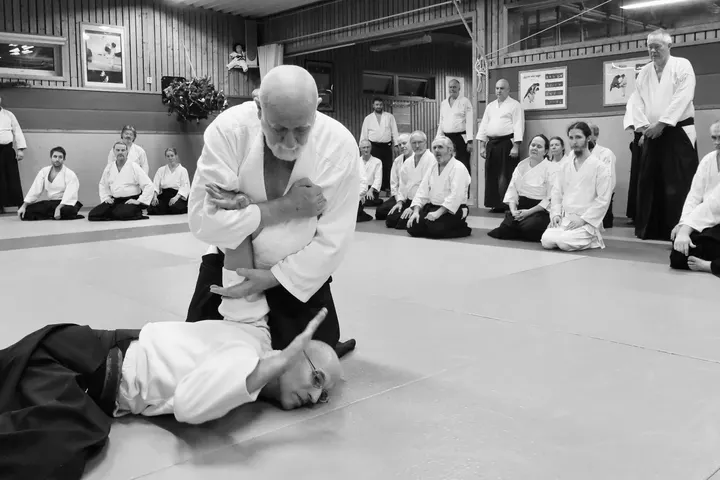 Göteborgs Aikidoklubb — kampsport-studio i Göteborg — 5