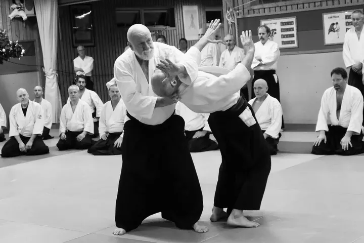 Göteborgs Aikidoklubb — kampsport-studio i Göteborg — 6