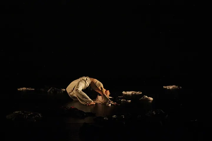 Ceyrat Centre Danse Blandine Pialoux — danse-studio à Ceyrat — 3