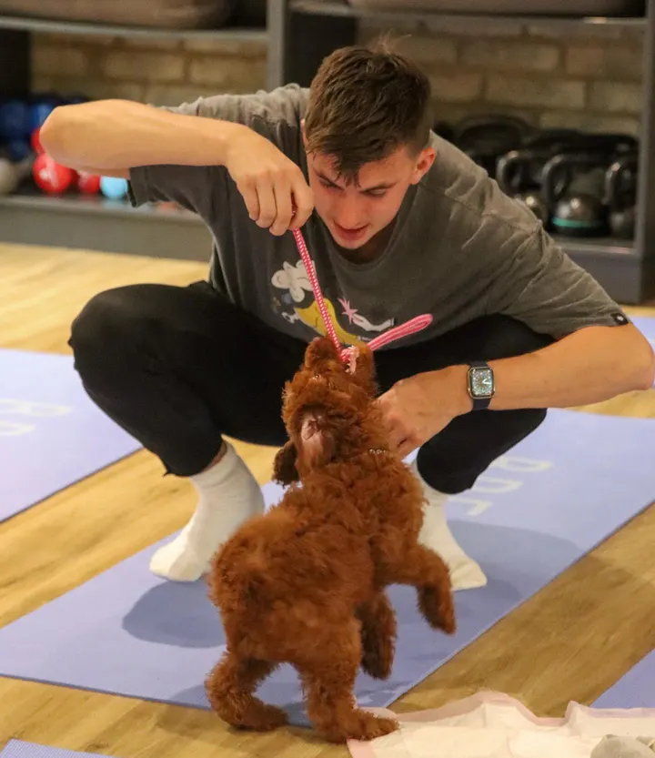 Puppy Yoga Yorkshire — yoga-studio in Egham — 3