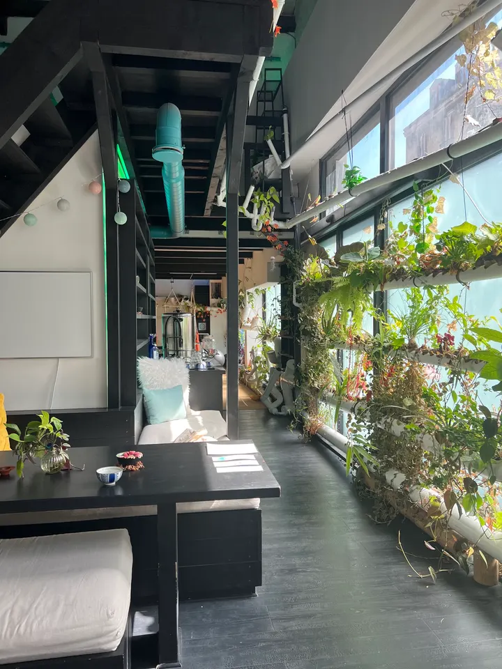 meïsō Oāsis Paris Olympiades — méditation-studio à Paris — 3