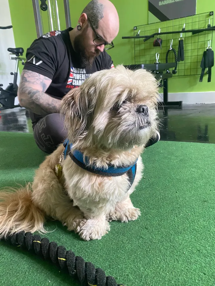 Indomitable Strength Barbell Club — strength-studio in Manchester — 3