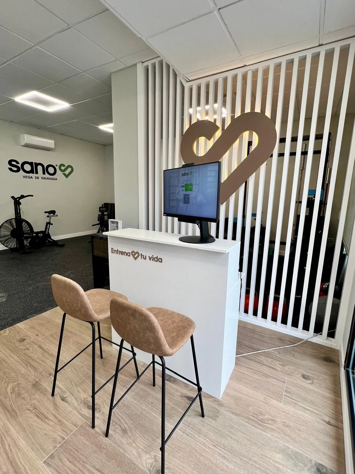 Sano Vega De Granada — fuerza-studio en Churriana de la Vega — 2